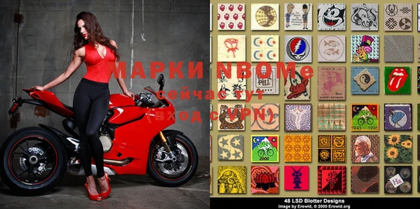 ешки Бронницы