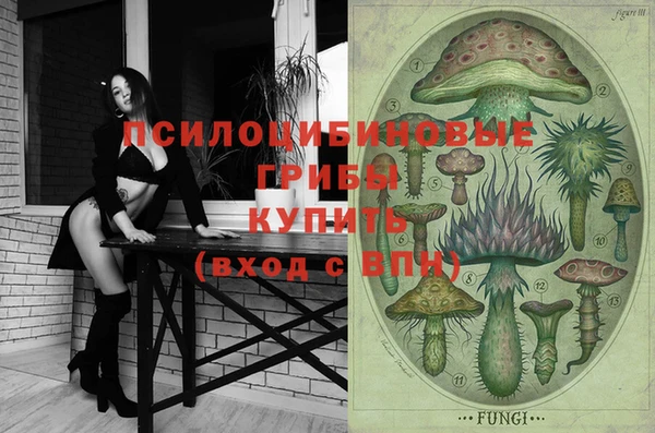 MDMA Богородицк