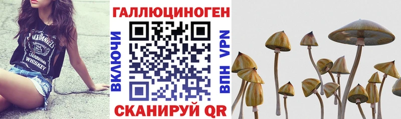 купить наркоту  Монино  Галлюциногенные грибы мицелий 