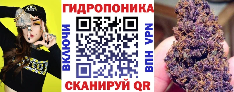 Канабис сатива  Монино 
